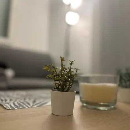 아파트 Le Coin Du Soleil 툴롱