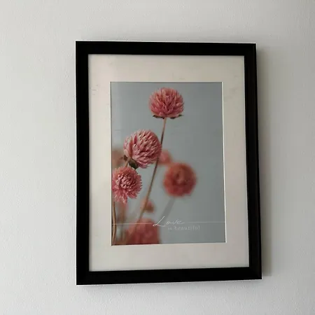 Le Coin Du Soleil Appartement