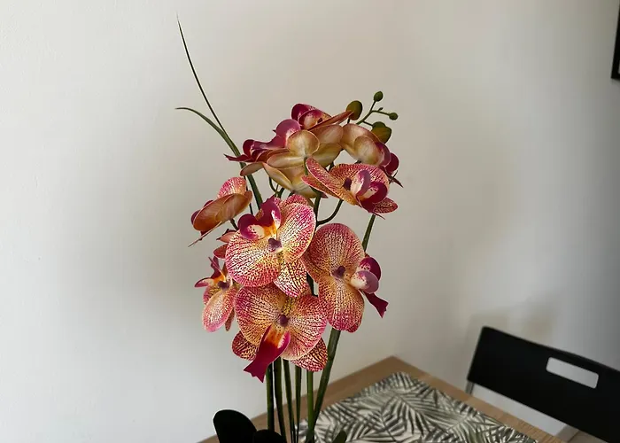 Le Coin Du Soleil شقة تولون