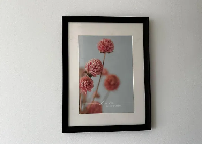 Le Coin Du Soleil شقة